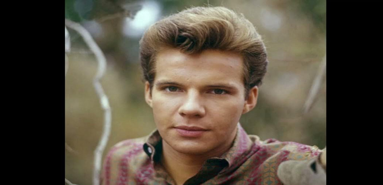 Bobby vee