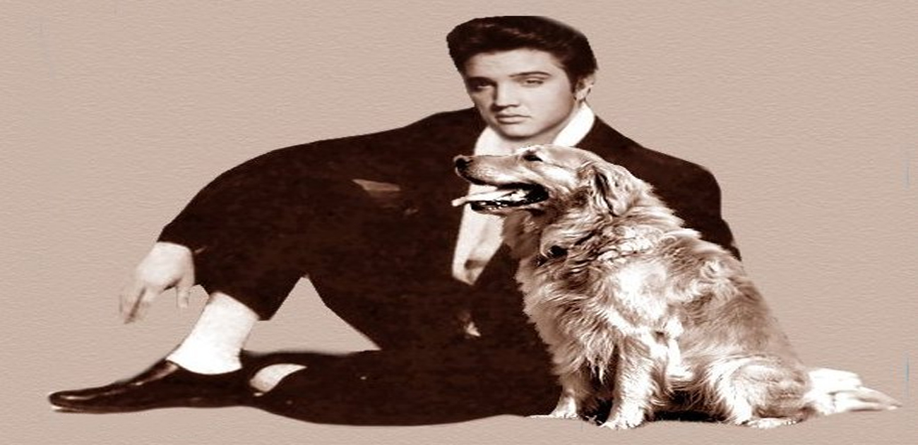 Elvis presley